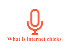 InternetChicks: Unleashing the Power of Women in the Digital World